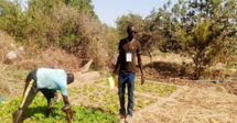 Stimulez votre impact social et atteignez vos objectifs avec AVIRD